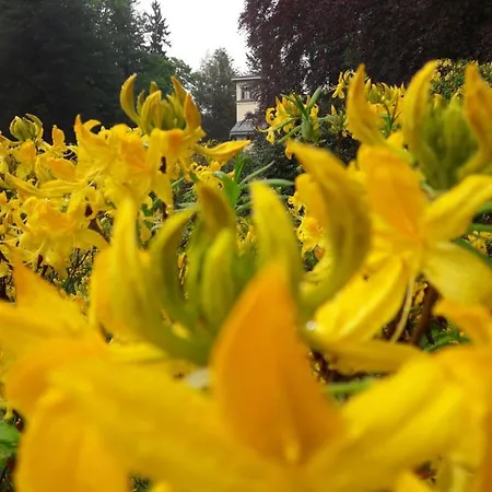 Appartamento Parkresidenz Flora *