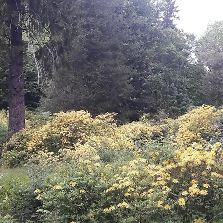 Parkresidenz Flora Appartamento Rosenthal-Bielatal