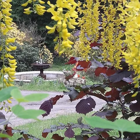 Parkresidenz Flora Rosenthal-Bielatal