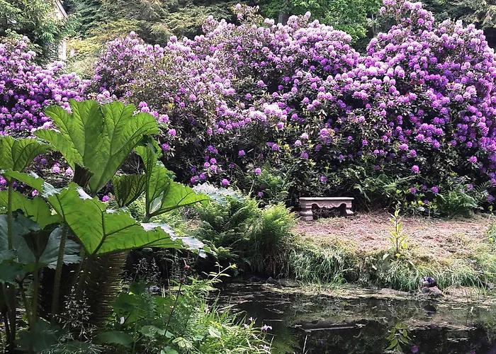 Parkresidenz Flora Apartment *