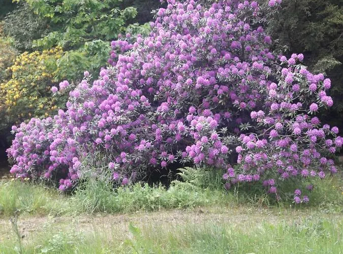 Parkresidenz Flora * Rosenthal-Bielatal