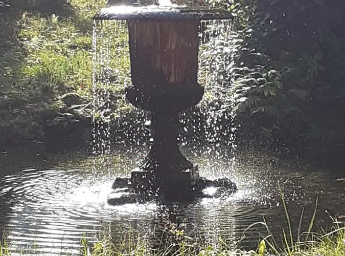 Parkresidenz Flora Apartment Rosenthal-Bielatal